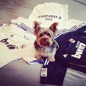 Meet your Posher, Jia